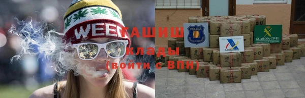 соль ск Новозыбков