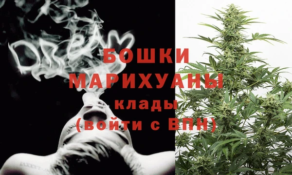 ГАЛЛЮЦИНОГЕННЫЕ ГРИБЫ Новодвинск