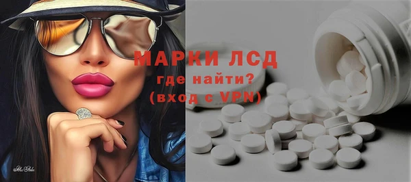 соль ск Новозыбков