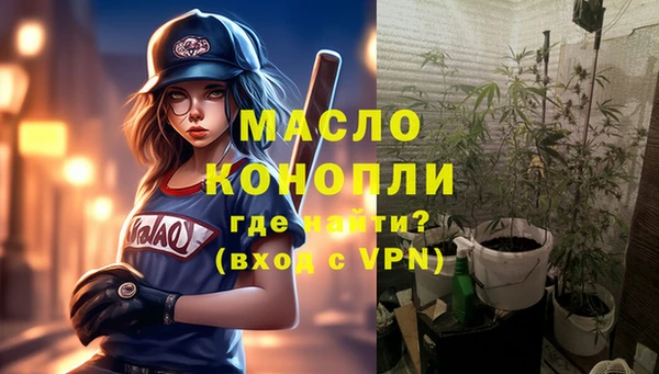 соль ск Новозыбков
