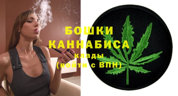 соль ск Новозыбков