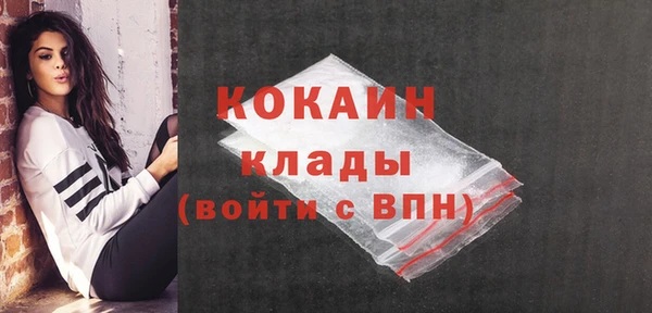 ГАЛЛЮЦИНОГЕННЫЕ ГРИБЫ Новодвинск