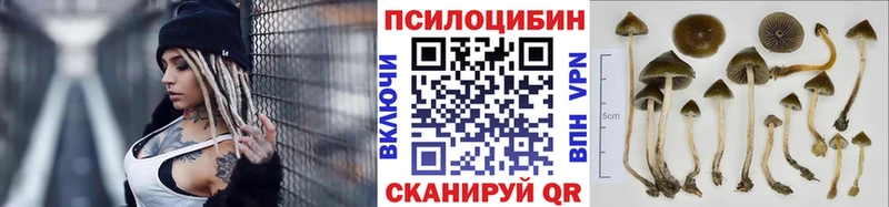 наркошоп  Нерехта  Галлюциногенные грибы MAGIC MUSHROOMS 